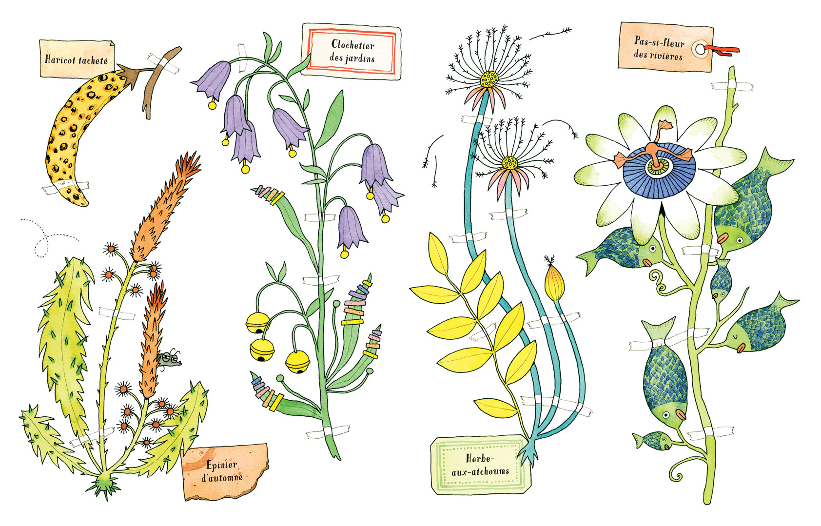L'herbier fou - À la poursuite de la mouche mange-couleurs ! (album jeunesse, 2020)