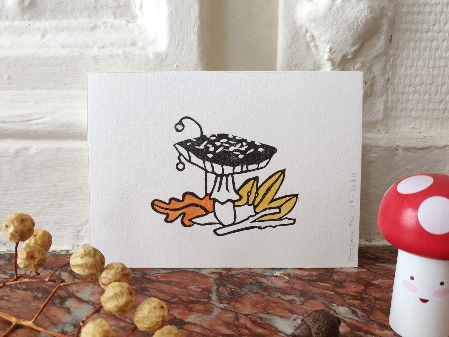 Champignon & limace