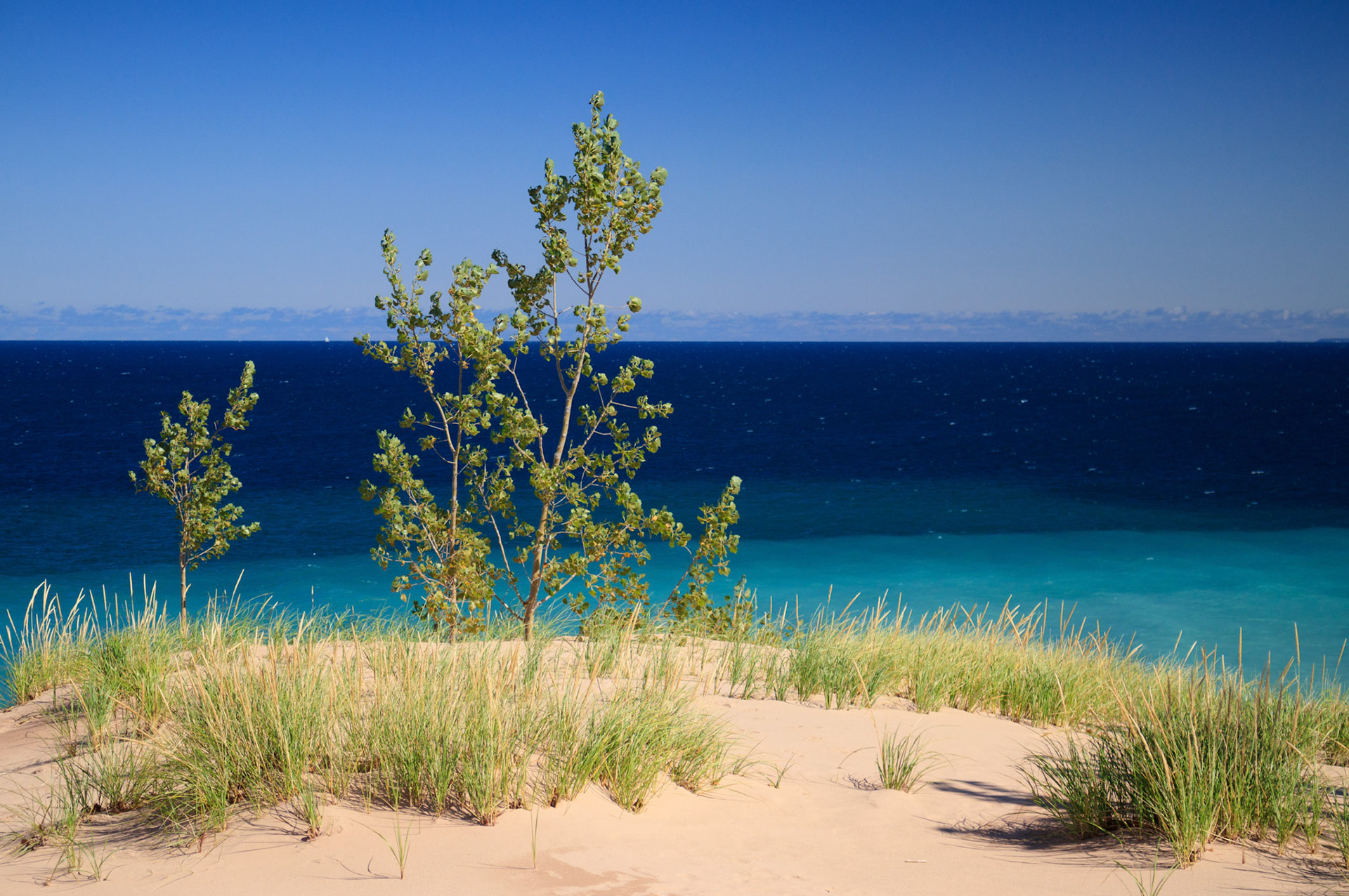 Lake Michigan from Sleeping Bear Point, Sleeping Bear Dunes National Lakeshore, Michigan
