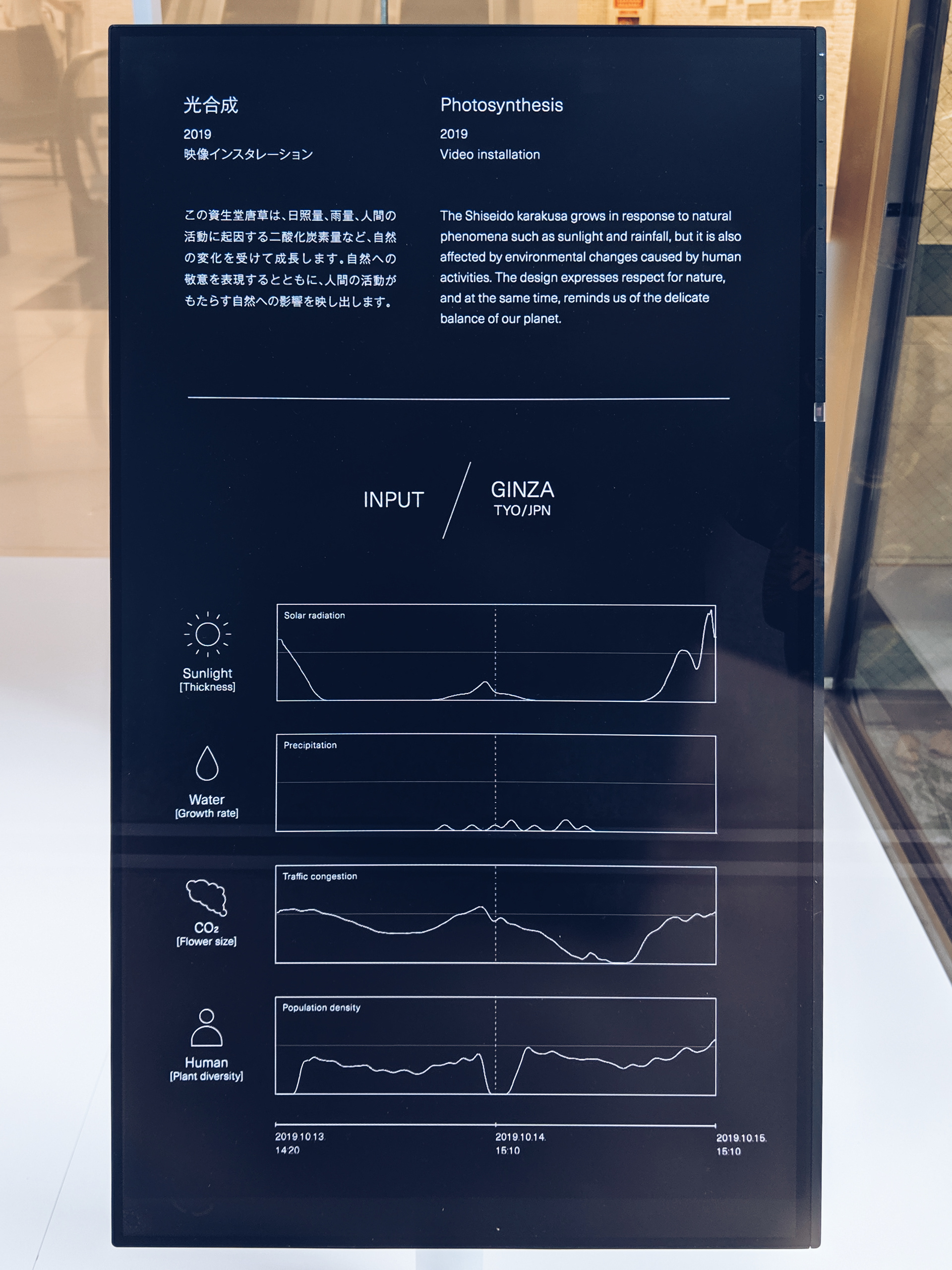 Kyoko Yonezawa Ginza Karakusa Biotope Photosynthesis