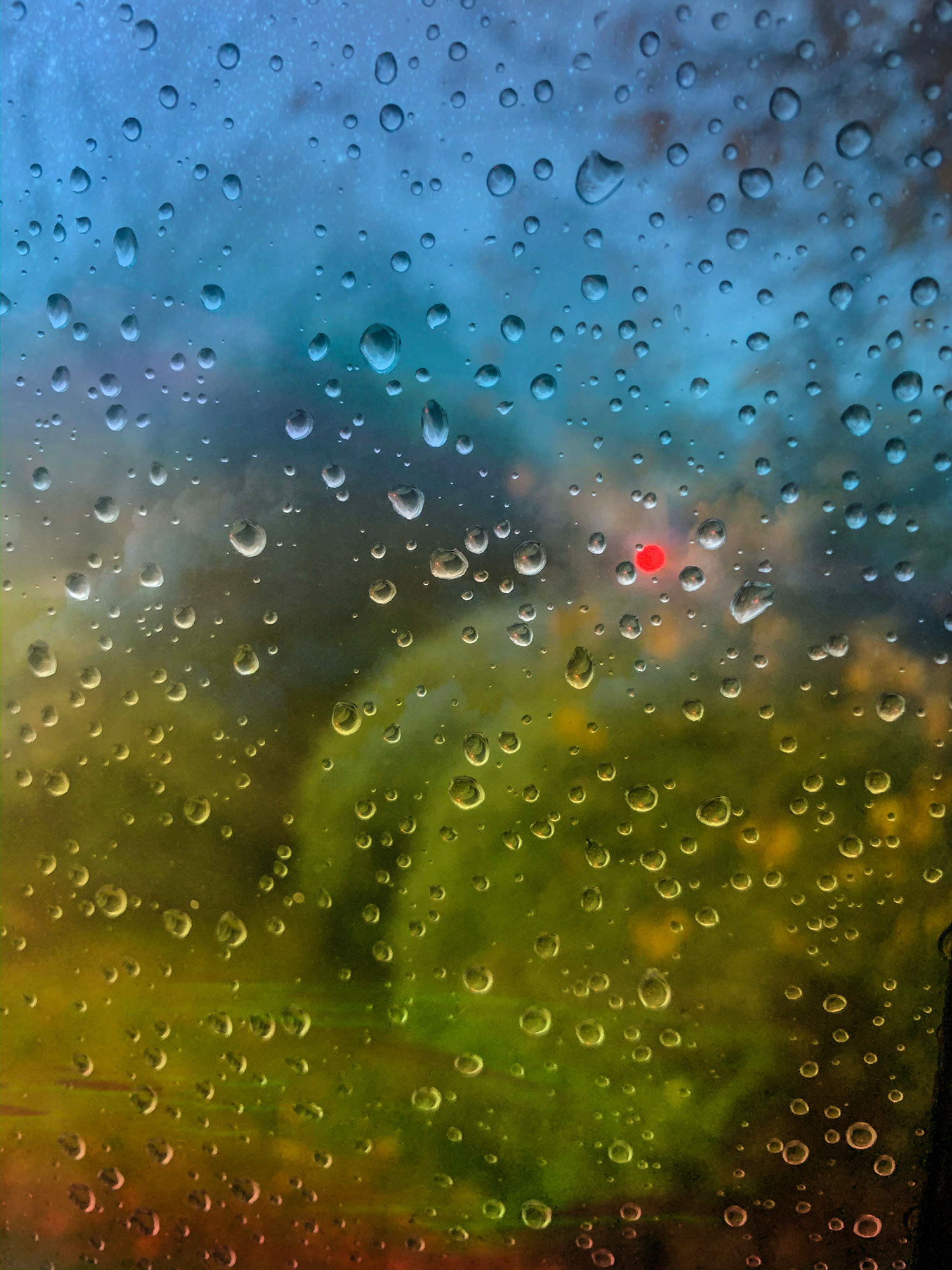 Rainy Day Morning (AB)