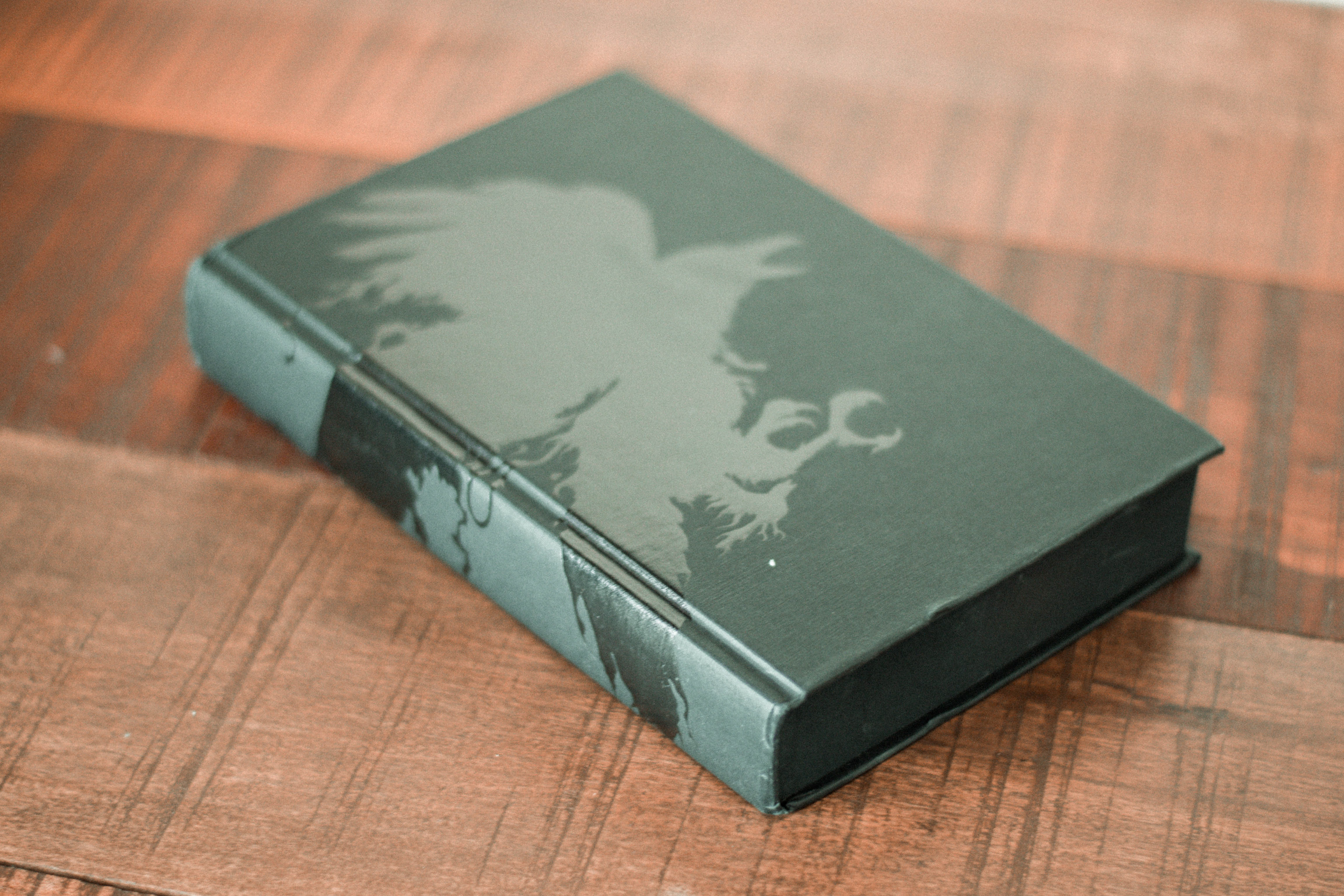 pin by frederique valentine on nevernight in 2022