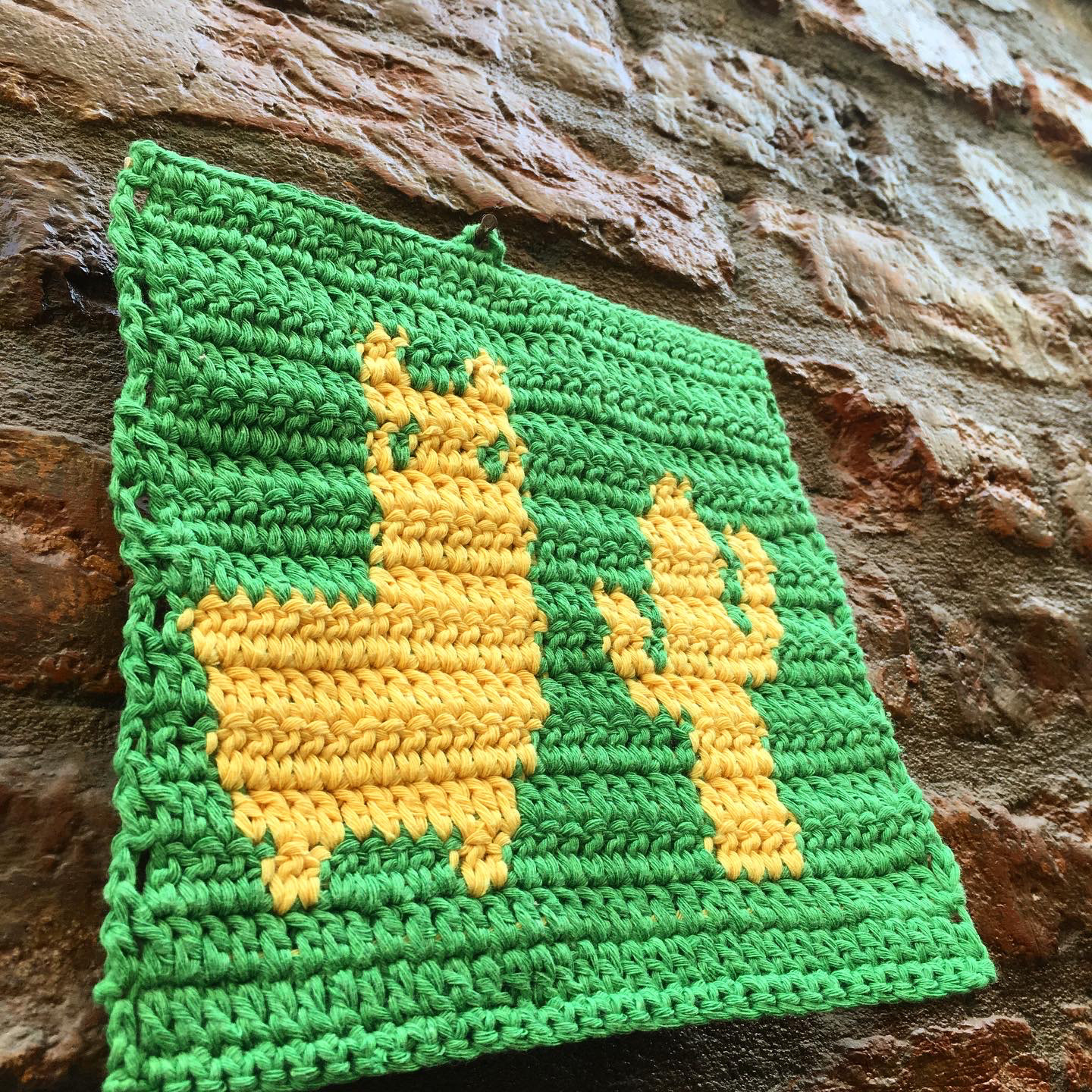 llama cactus