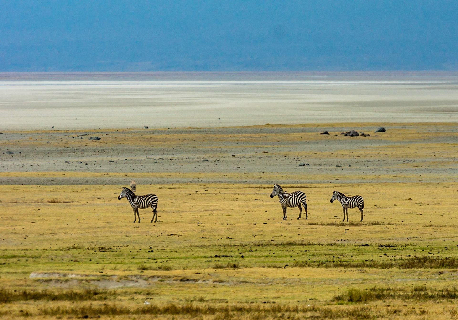 Open space, almost plains like; you could be forgiven for forgetting that you were actually in a volcano