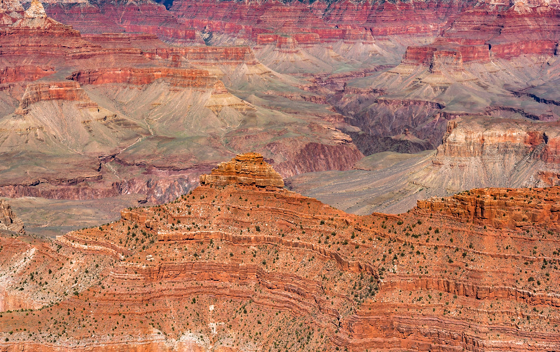 Glorious colours, Grand Canyon, Arizona