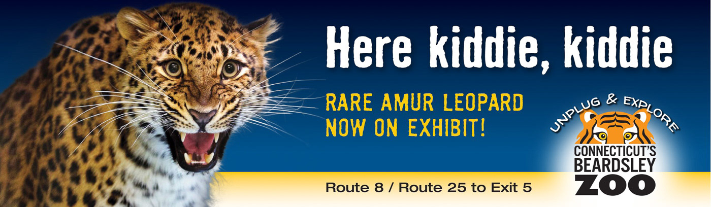 Zoo Campaign Billboard