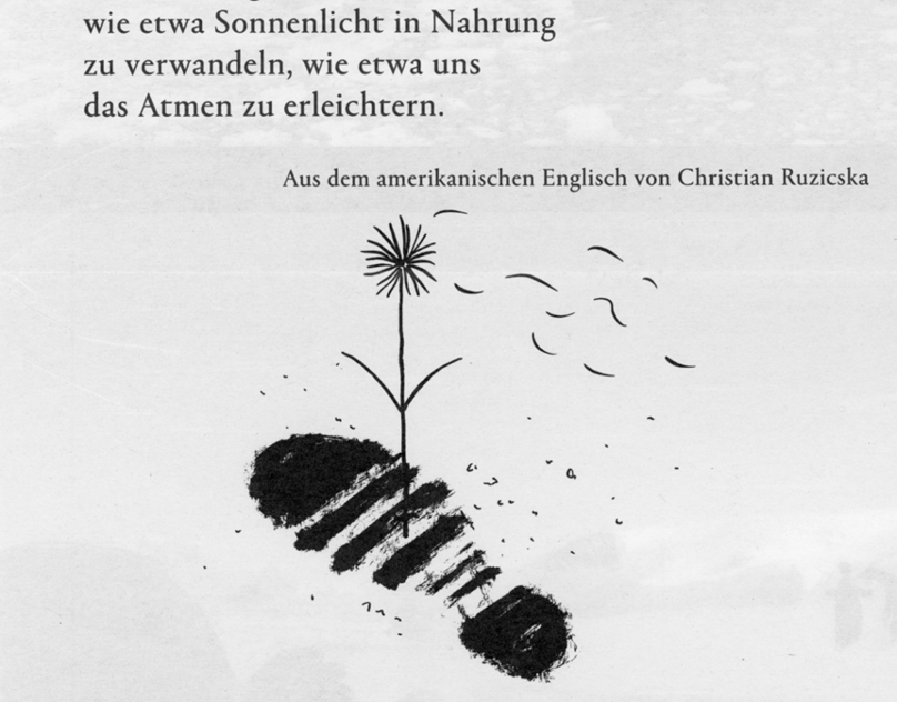 „Ein kleines notwendiges Faktum“ von Ross Gay; LITERATUR SPIEGEL 2/2018