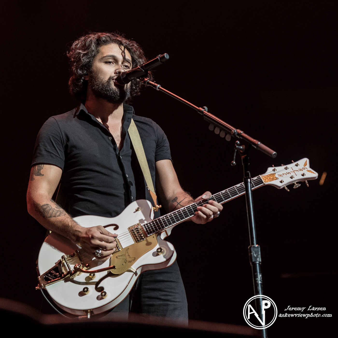 Gang of Youths