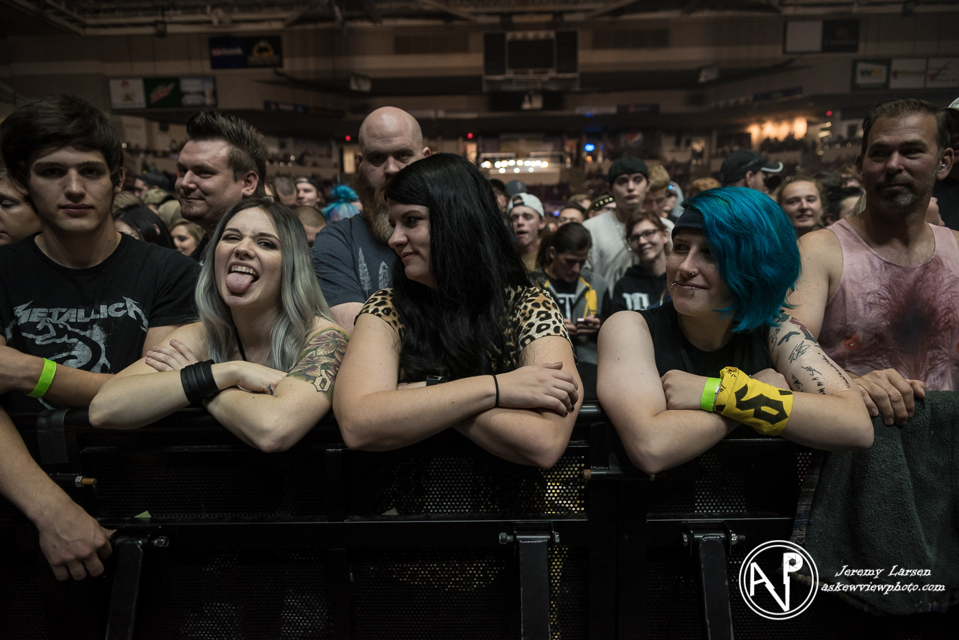 Crowd for Shinedown