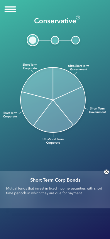 Investment Description