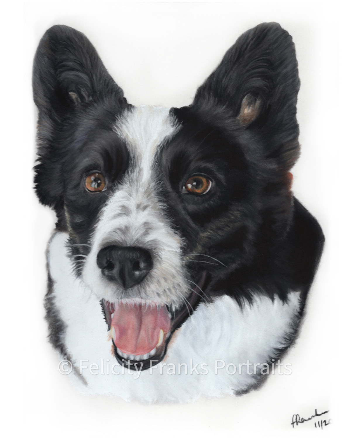 Finley - Cardigan Welsh Corgi - 24 x 30cm Portrait in Pastels
