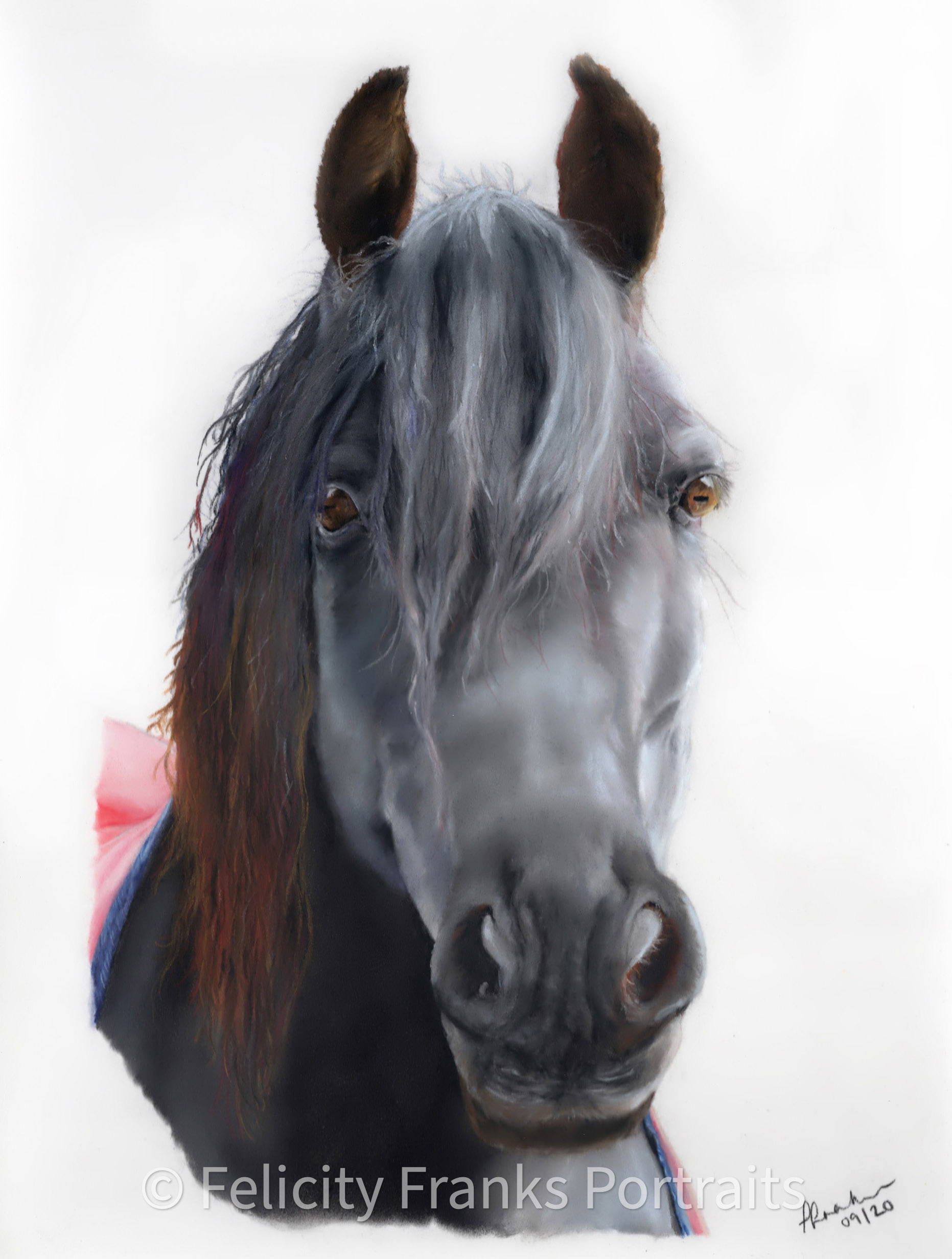 Jack - 30 x 40cm in Pastels