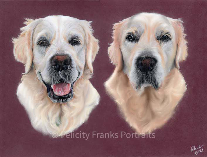 Bailey and Riley - Golden Retrievers - 30 x 40cm in Pastels