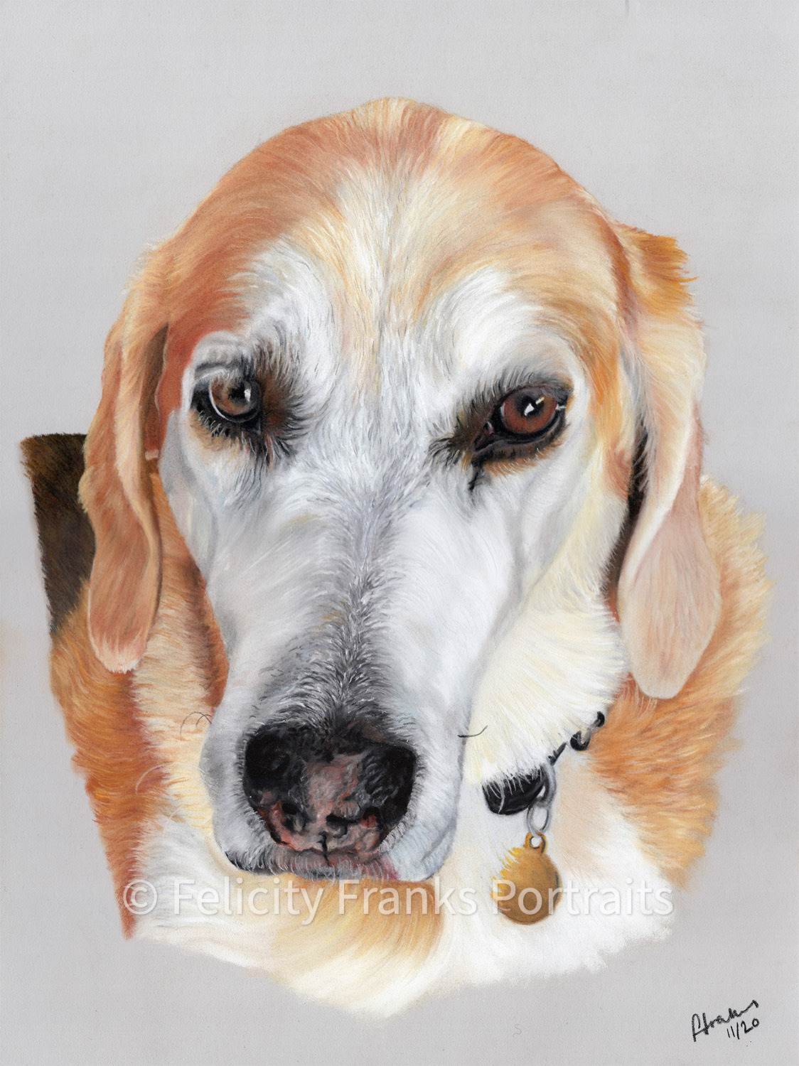 Clancy - Cumbrian Fell Hound - 30 x 40cm Portrait in Pastels