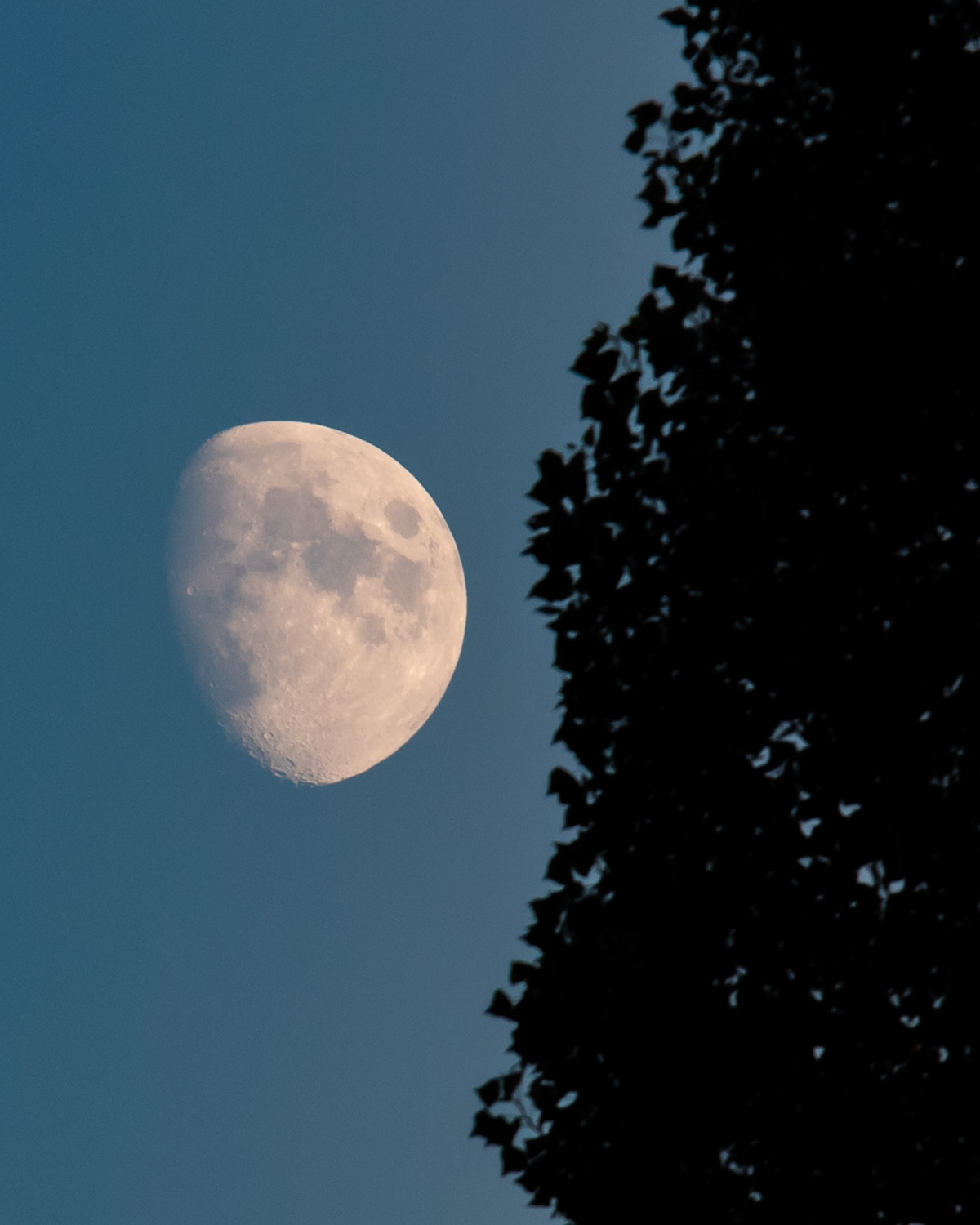 Moon in the city