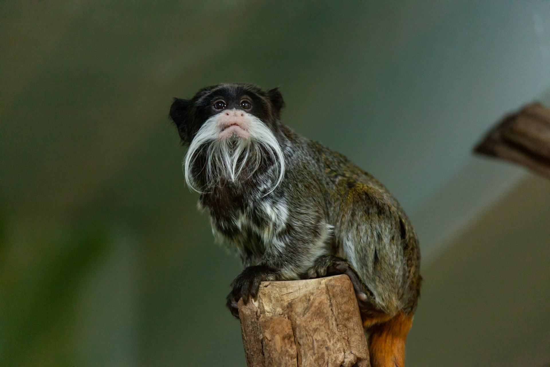 Zoo Berlin