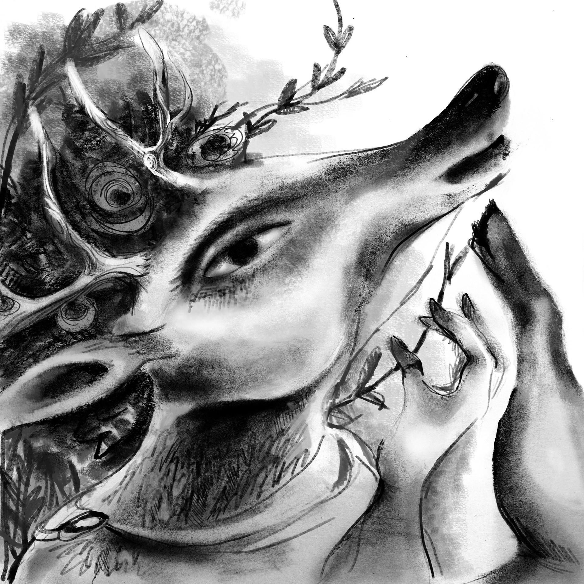 Metamorphosis