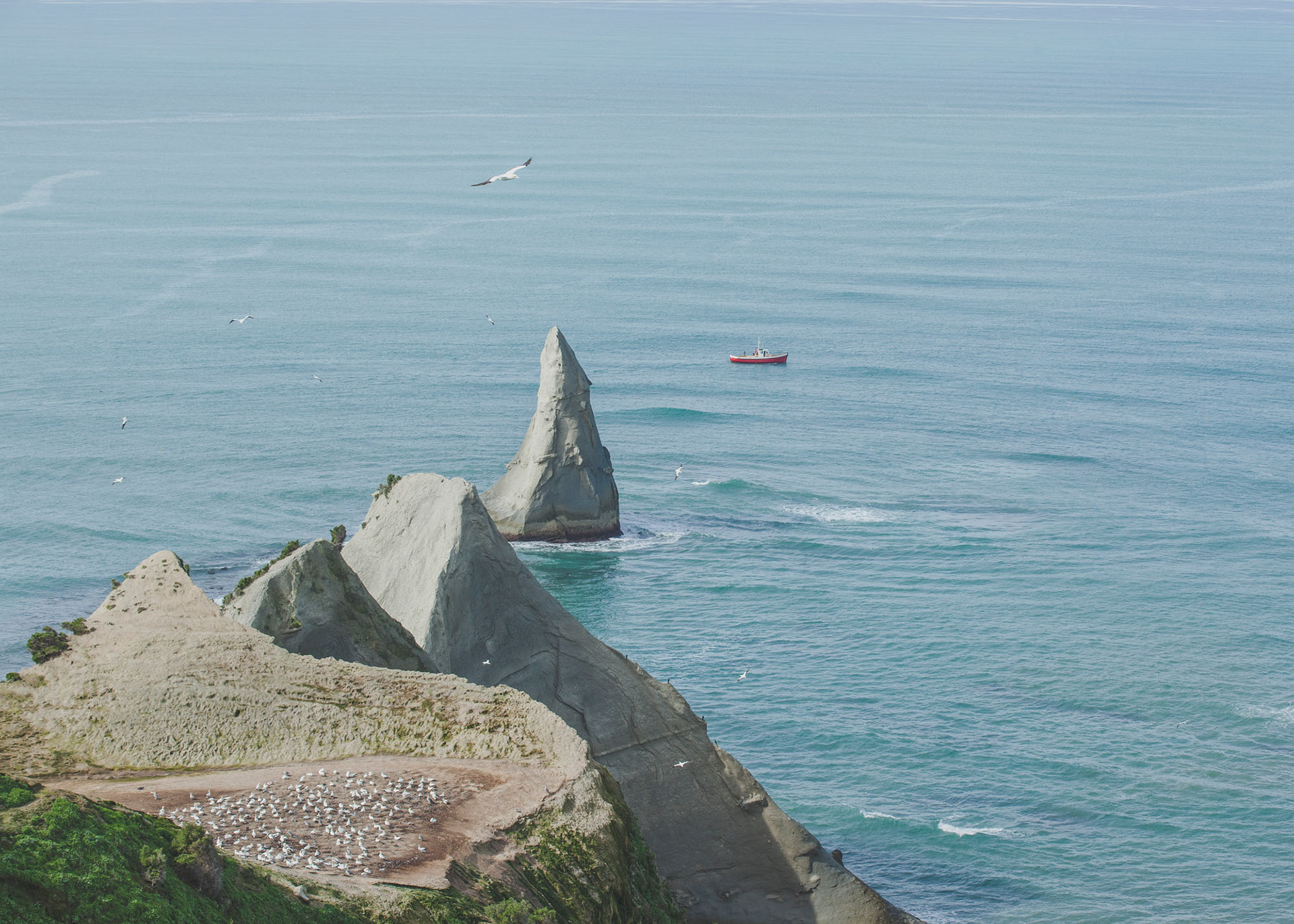 Cape Kidnappers, Hawke's Bay