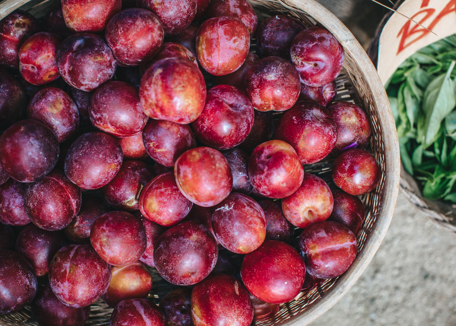 A basket of Hawke's Bay Omega plums