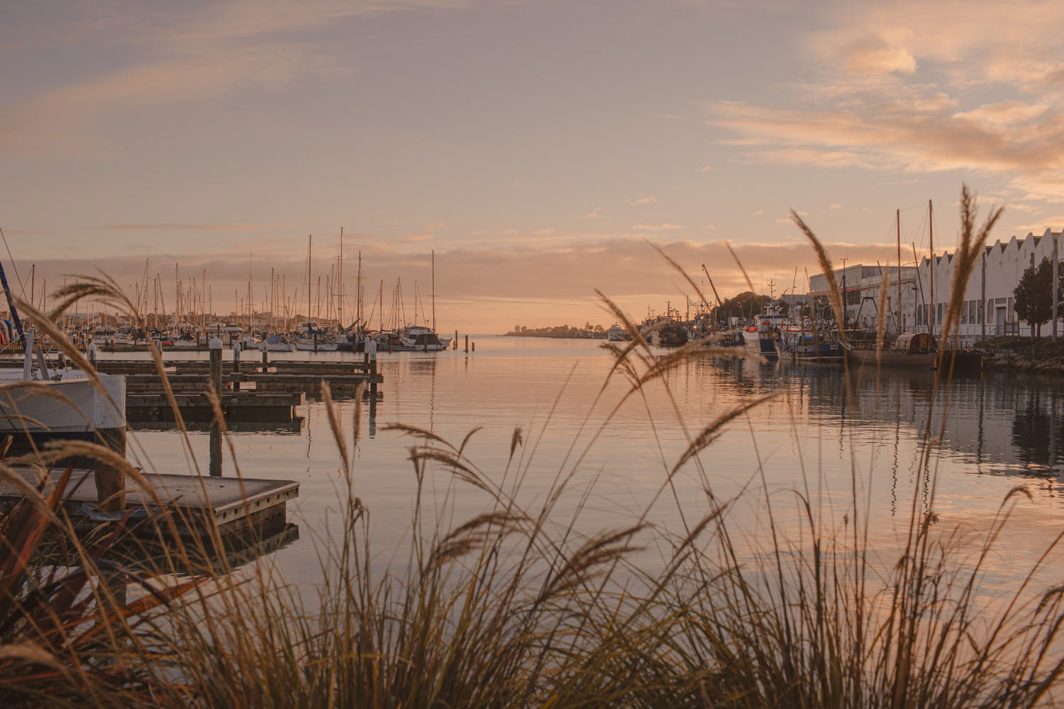 View down Ahuriri Marina at sunrise