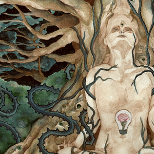 Phd dissertation picture