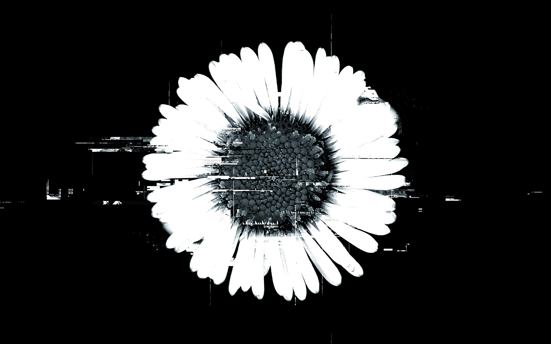 flowEEr (2003)