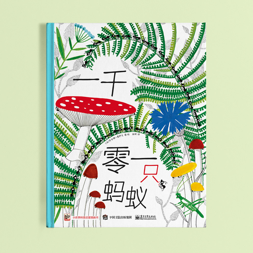 Chinese edition by PHEI