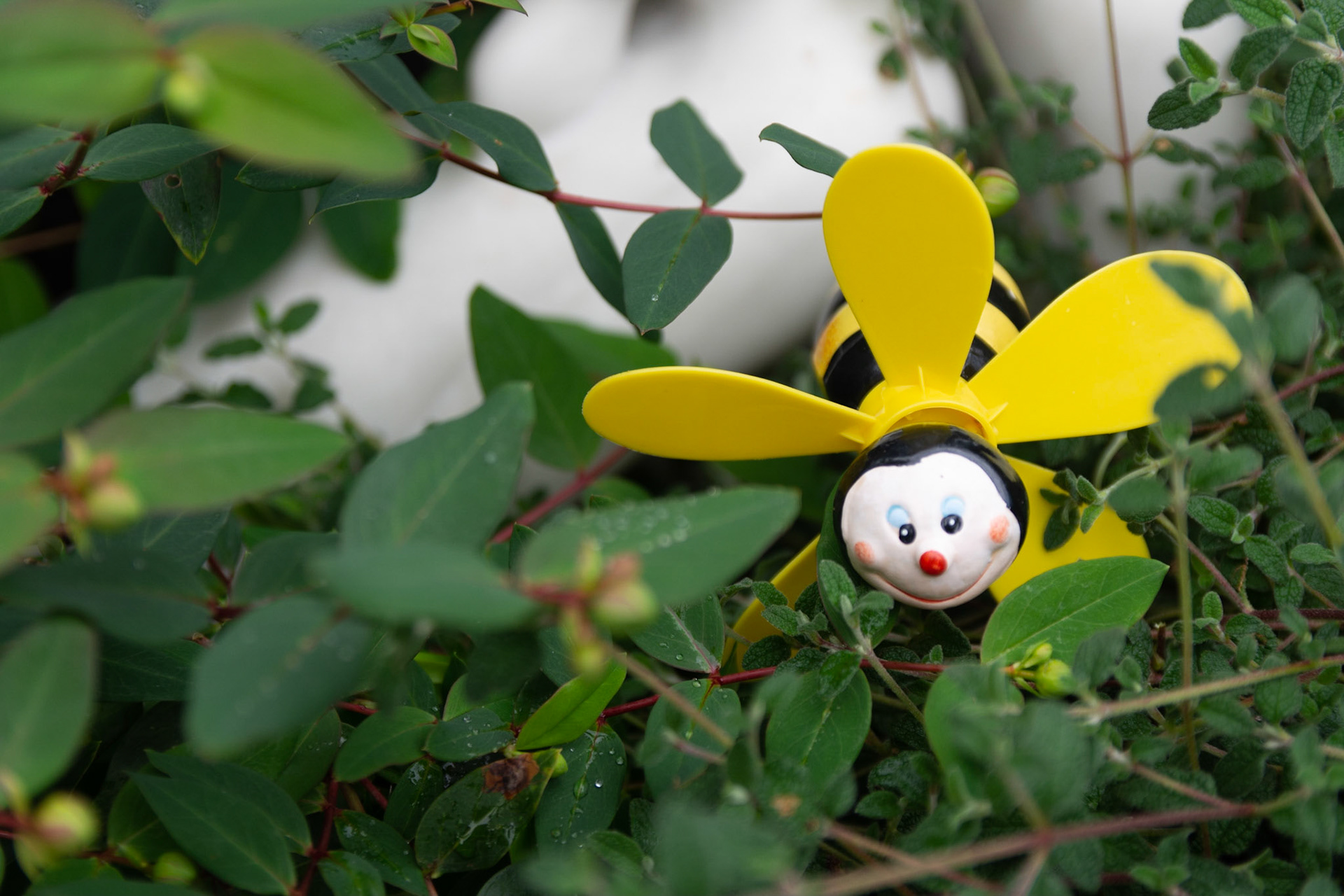 Funny what you see in some gardens