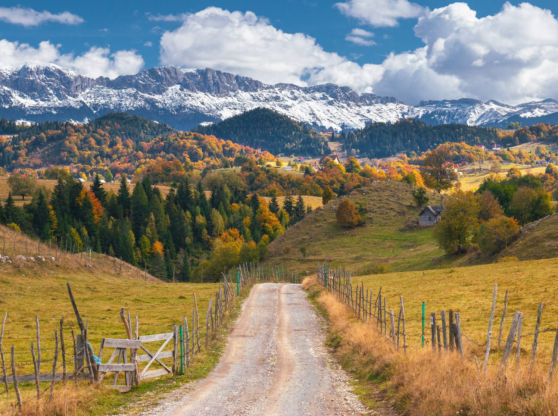 Șirnea