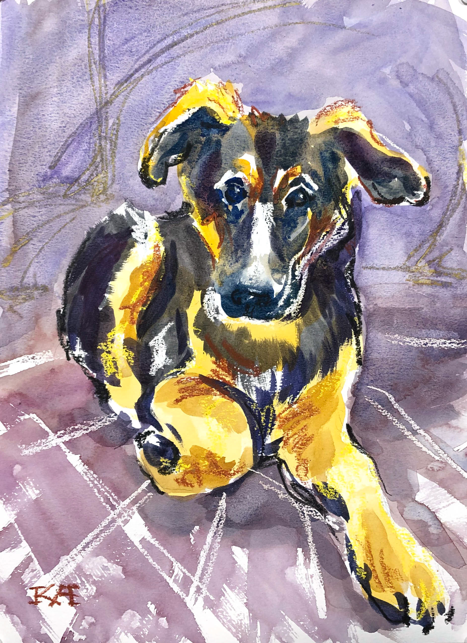 6 - 11x15