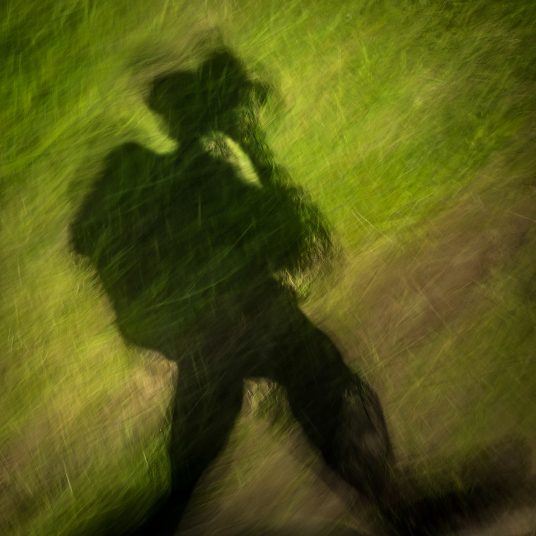 The Shadow