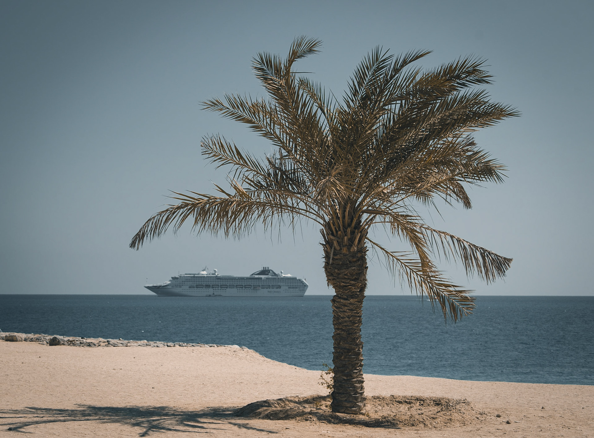 Sir Bani Yas Island
