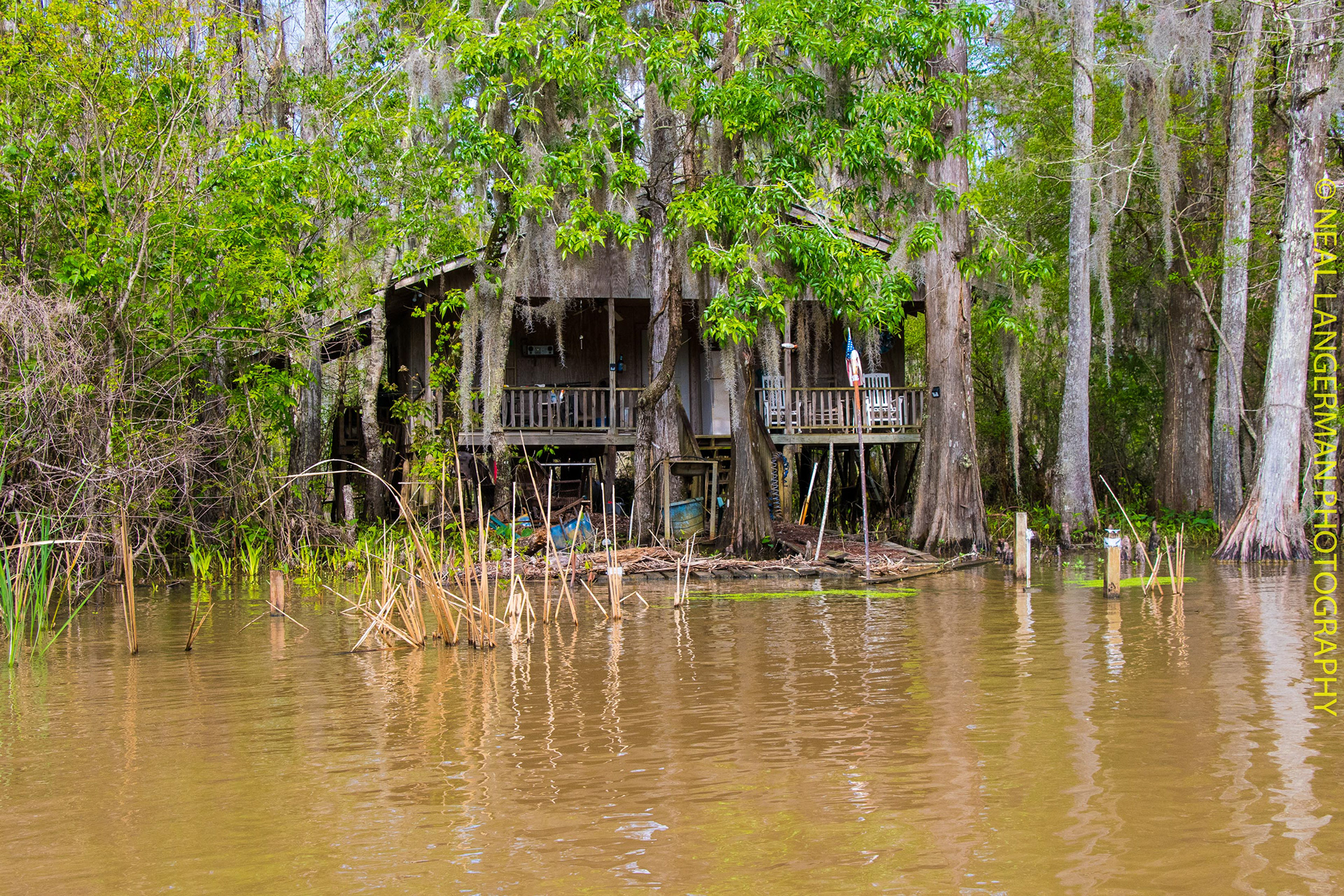 NEAL LANGERMAN PHOTOGRAPHY Slidell MS Swamps