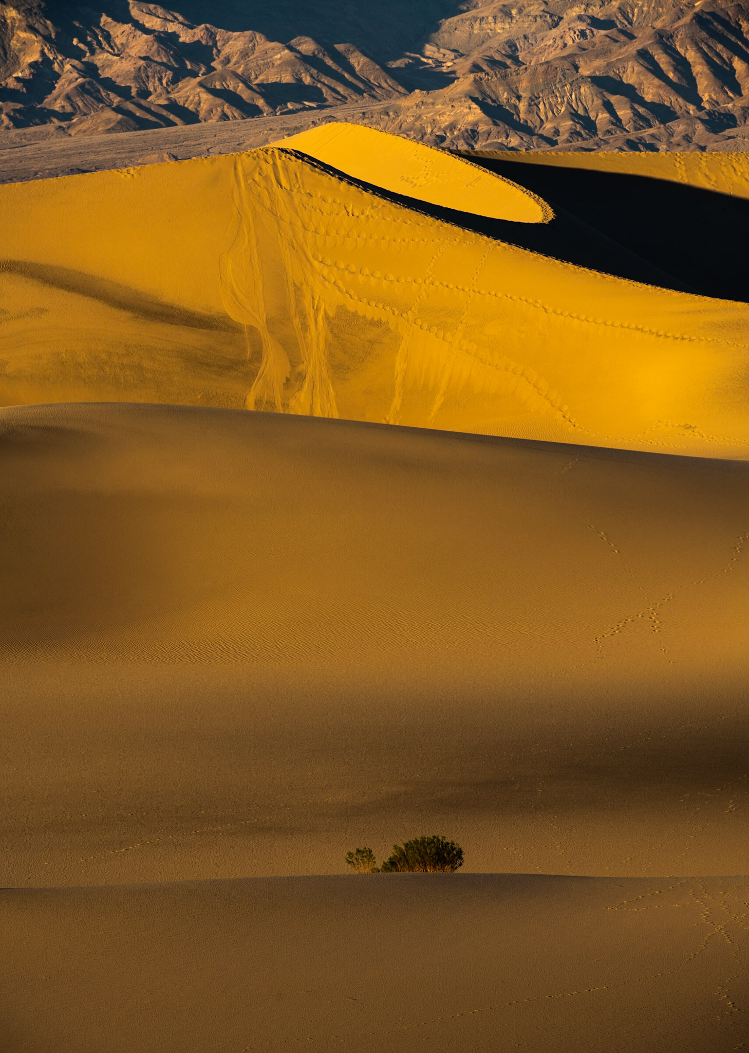 Sand dunes of Death Valley