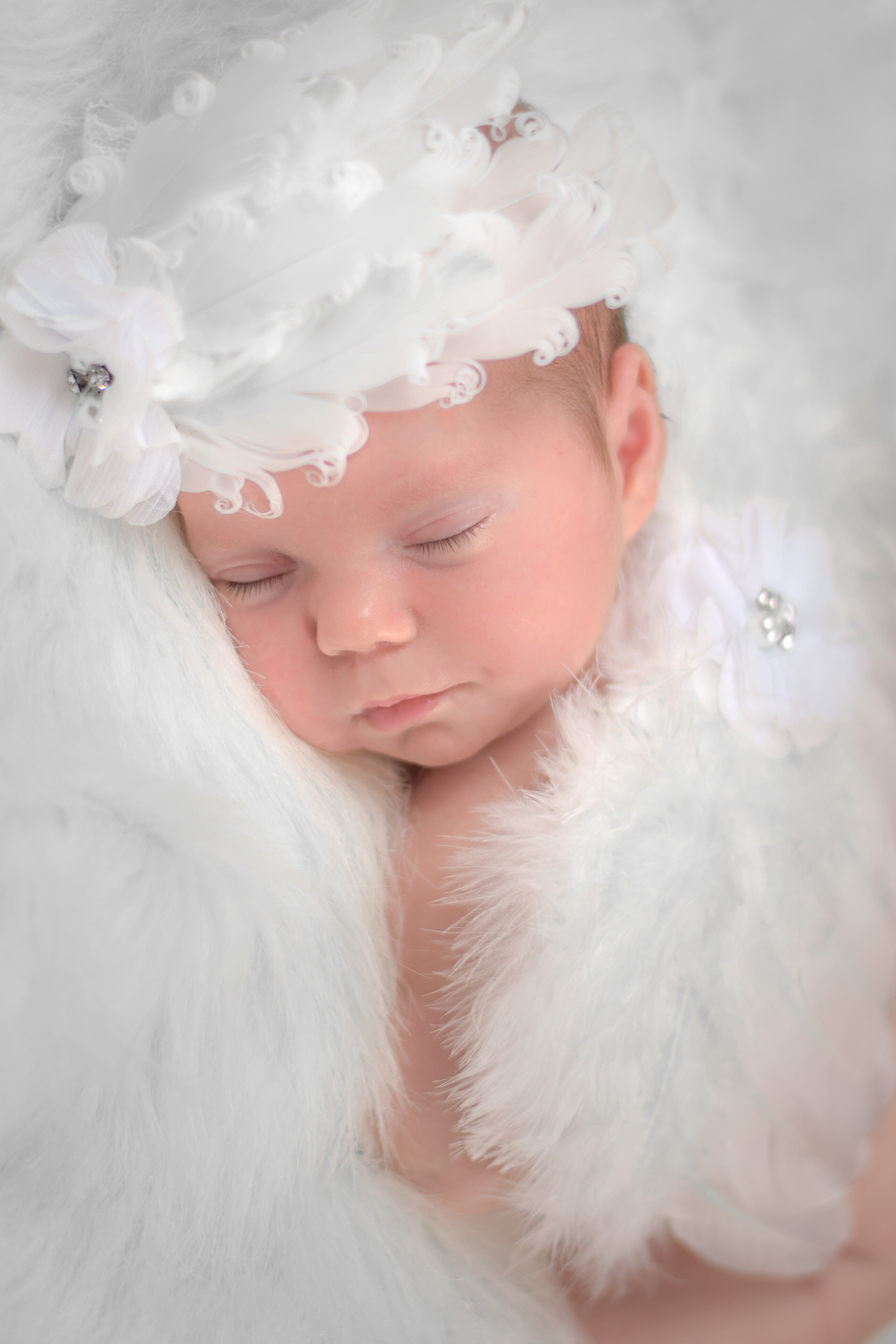Newborn Portrait