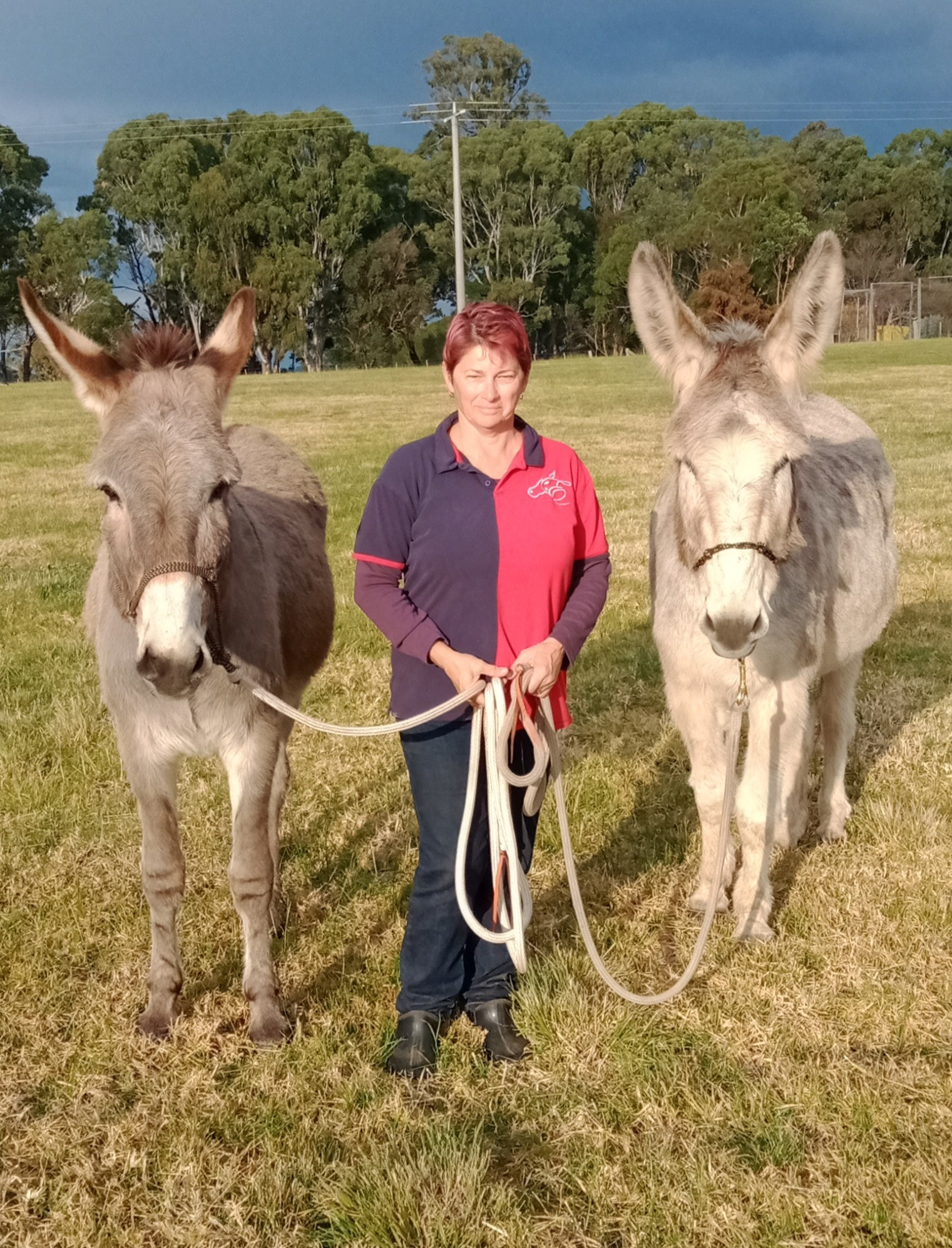 Donnie and Boots enjoy a walk