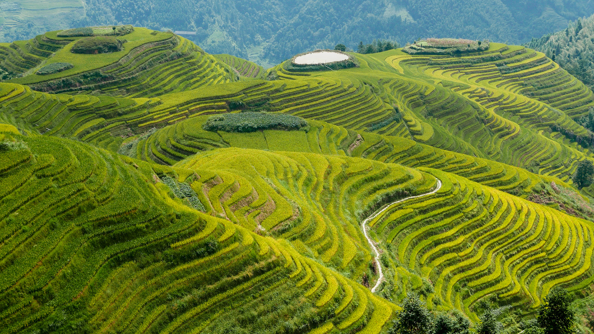 Simon Brice Photography - Yangshuo & Longsheng Rice Terraces