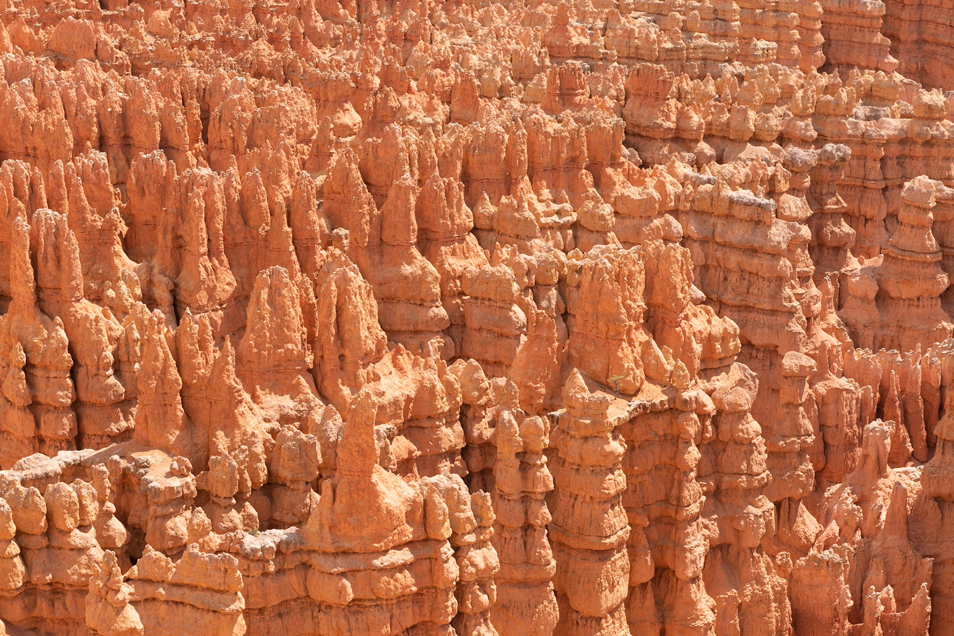 Bryce Canyon National Park