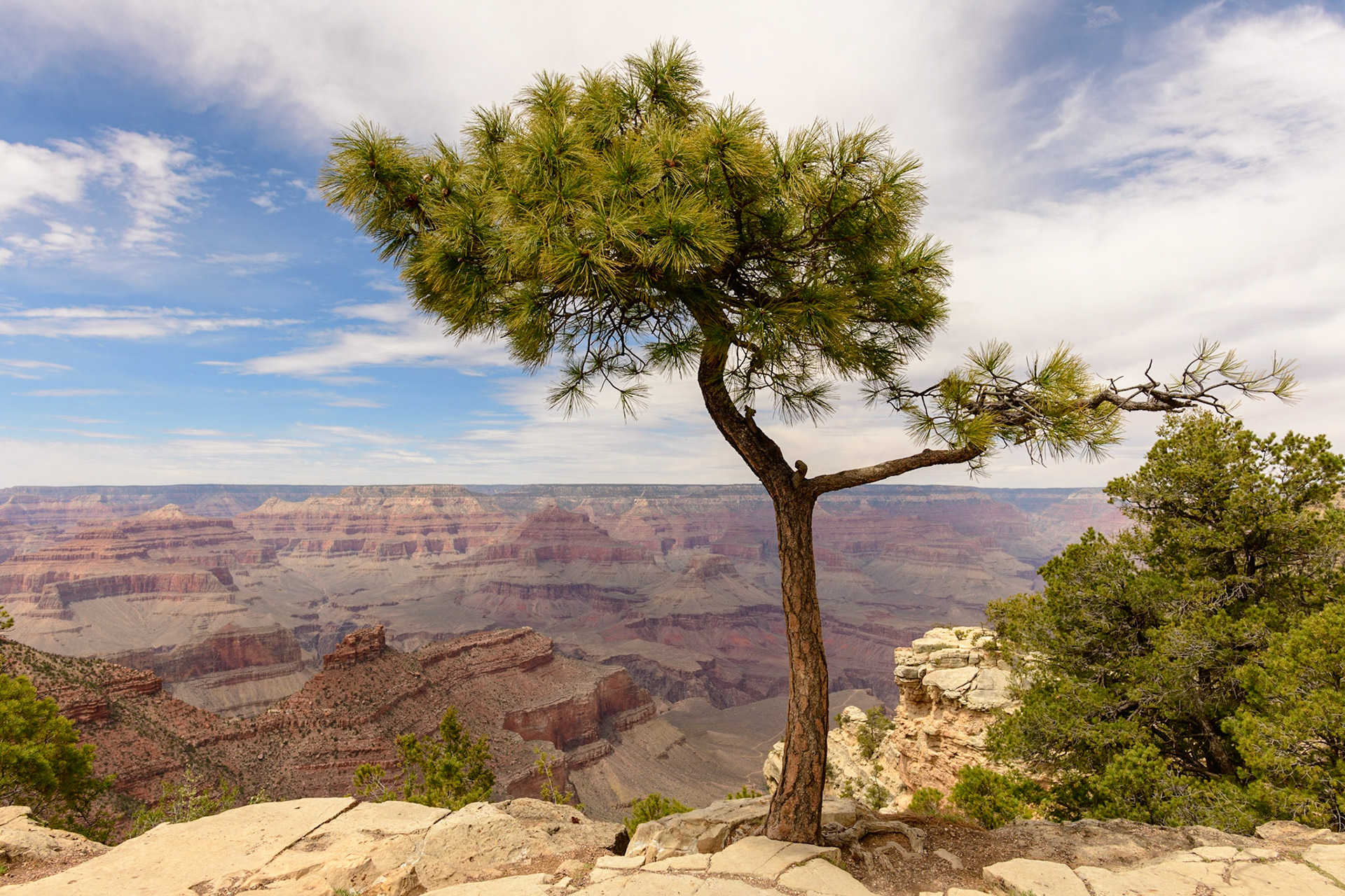 A short story with a happy ending