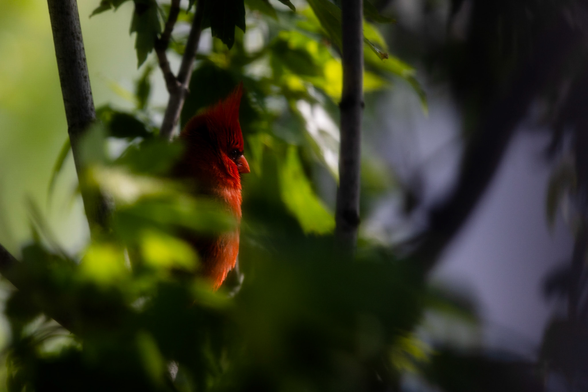 A moment of introspection