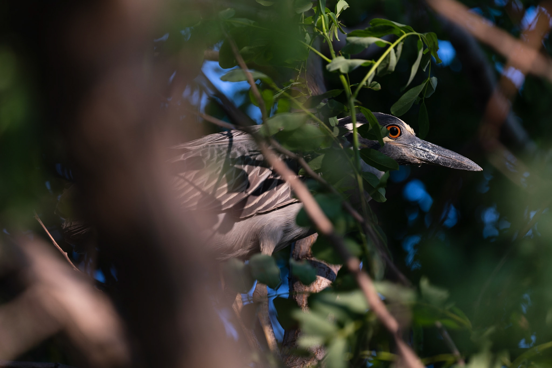 I wanna be a superhero