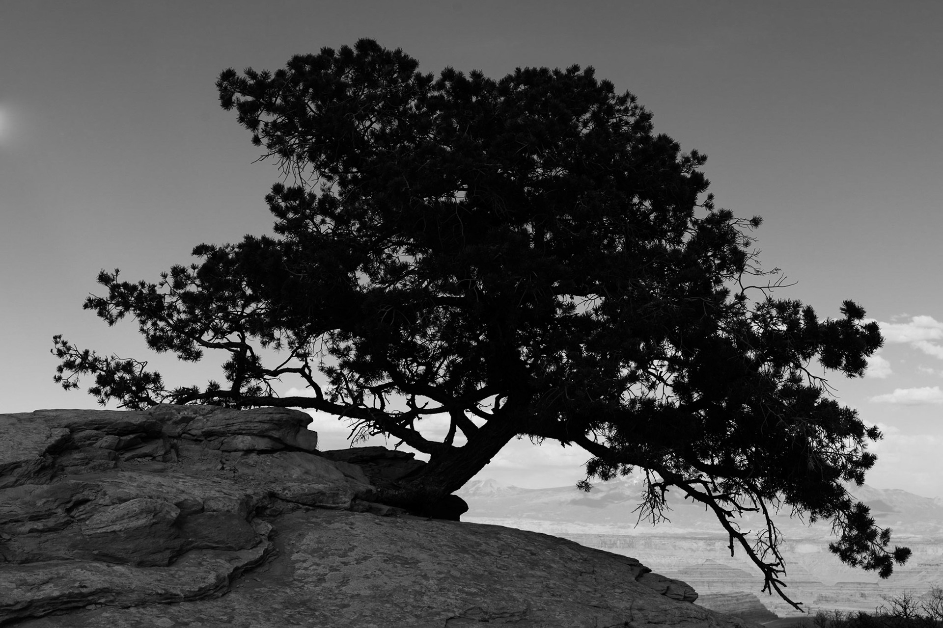 And Now For My Greatest Trick