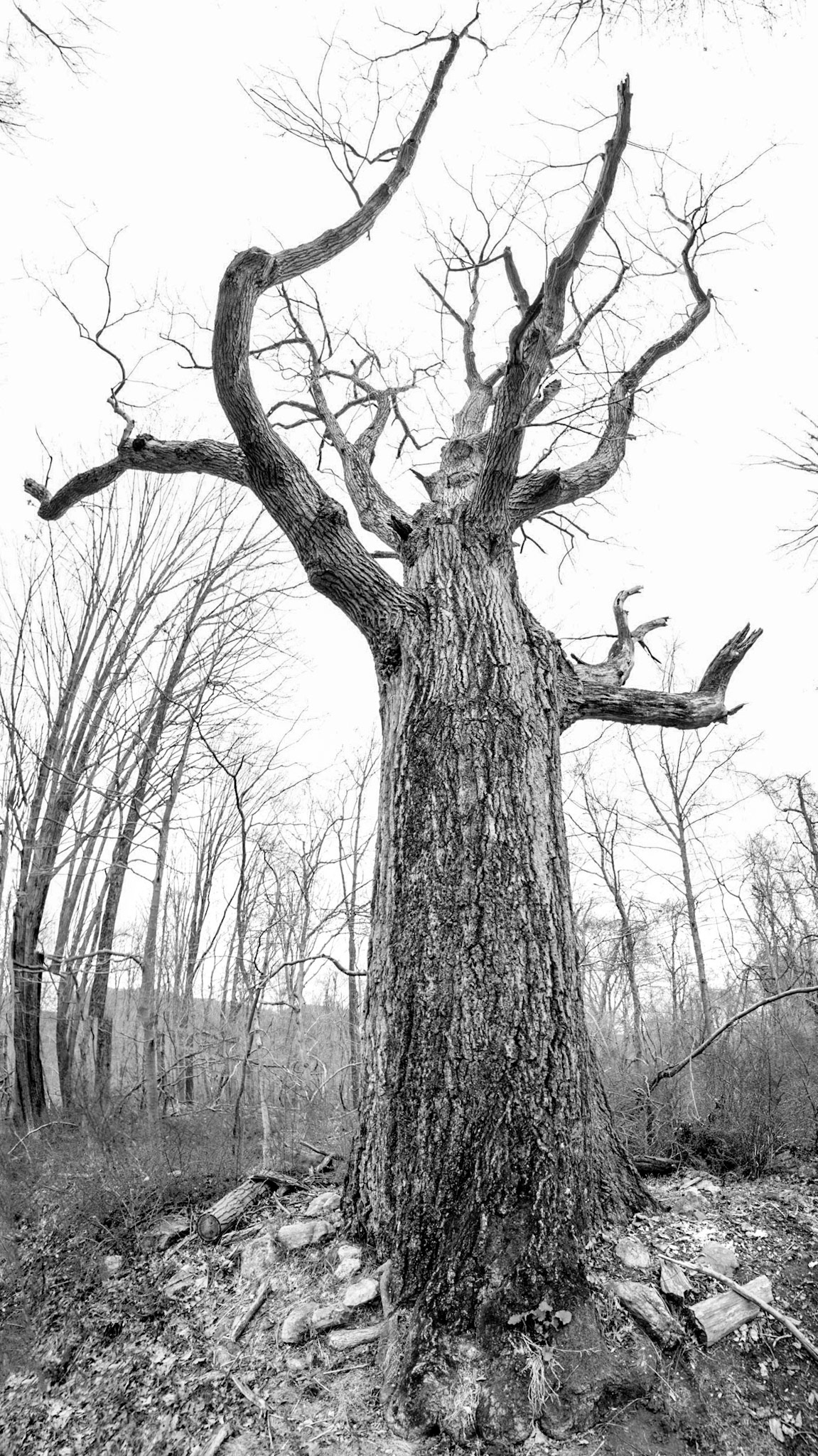 Two Hundred and Counting