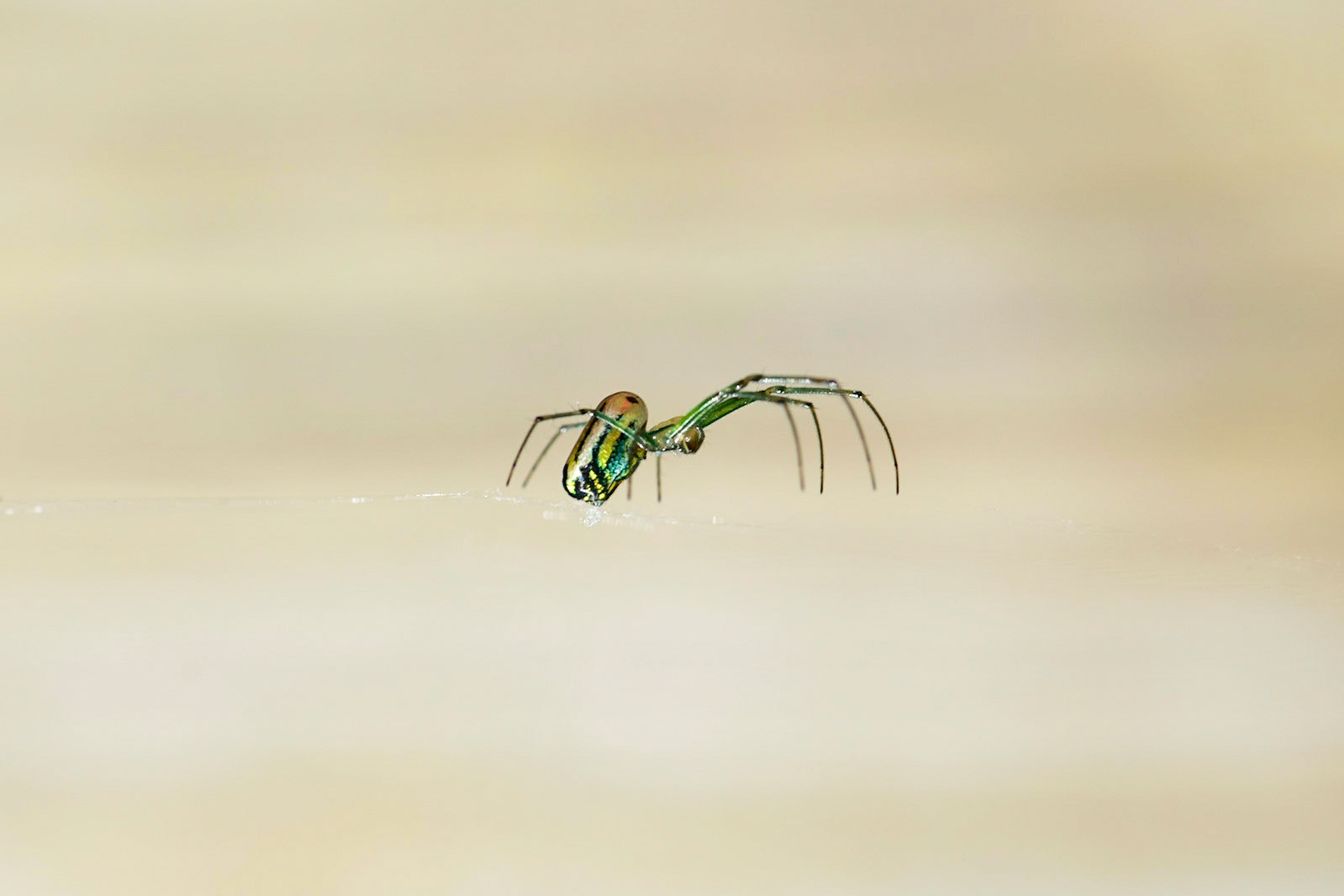 It's the little things