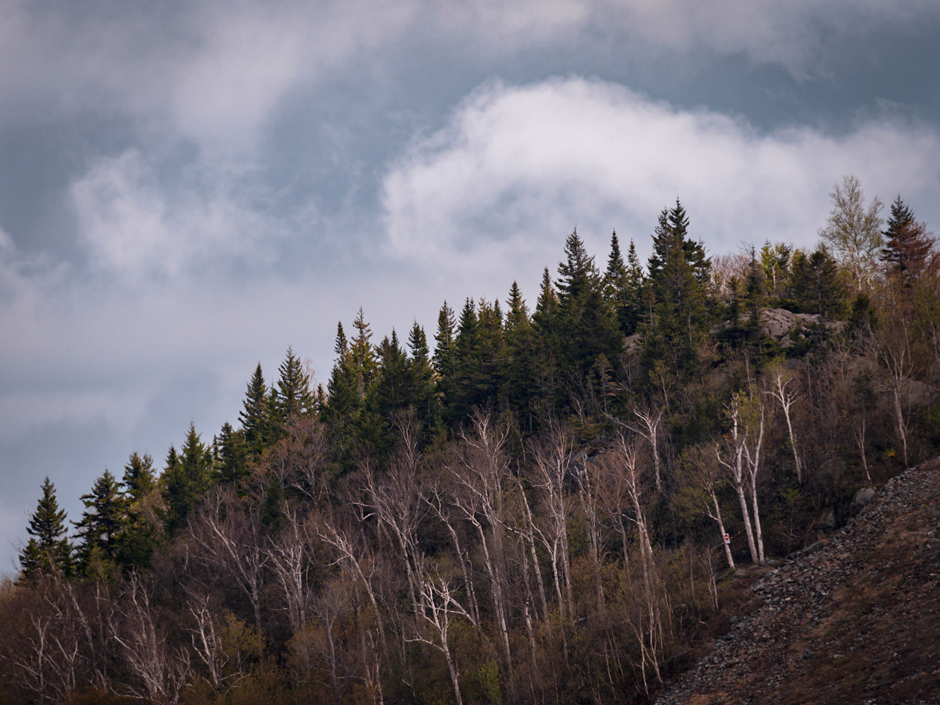 Instagram: www.instagram.com/scenesbeyondcanvas Facebook: www.facebook.com/scenesbeyondcanvas Website: www.scenesbeyondcanvas.com