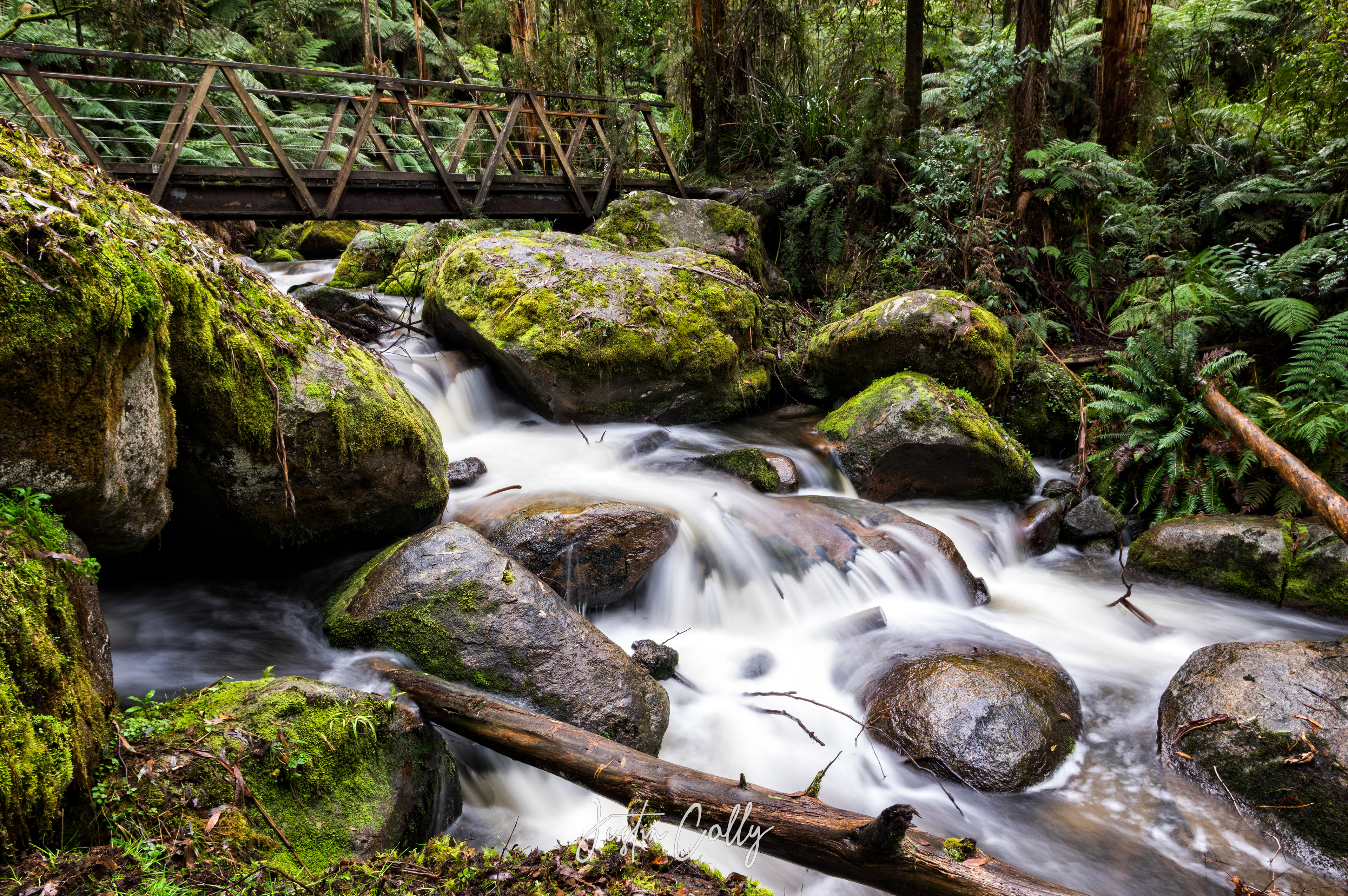 Toorongo River, Noojee