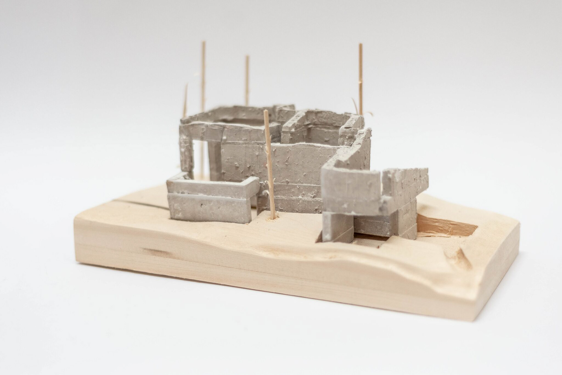 Model Images