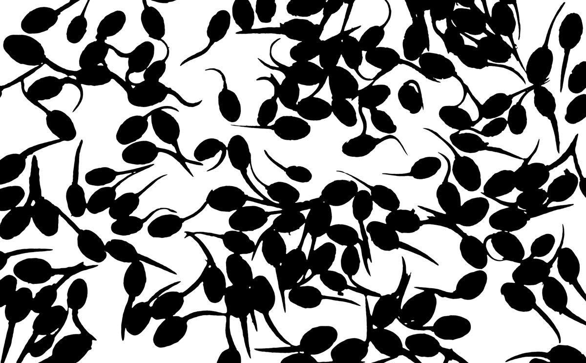 tadpoles