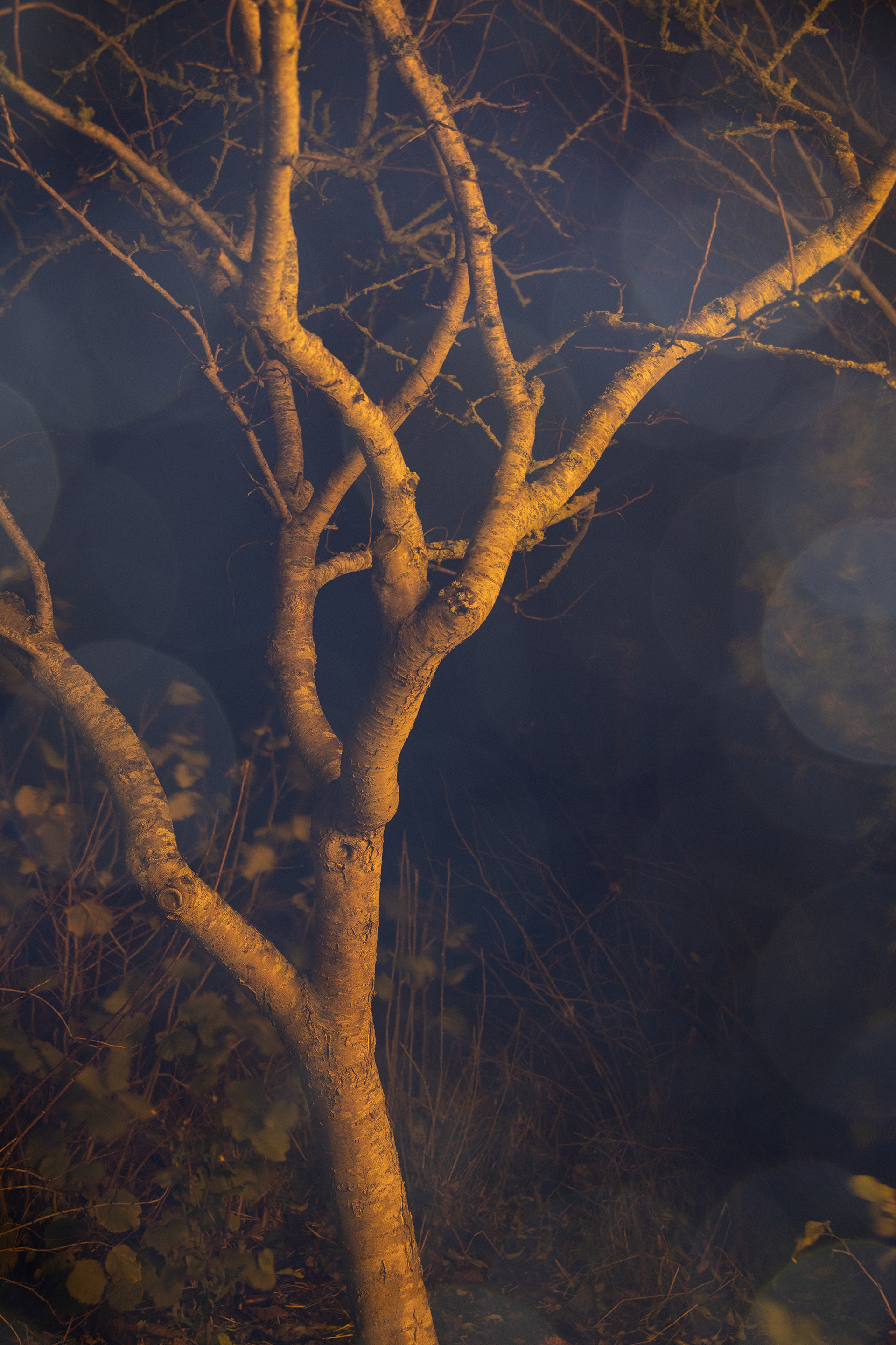 3. Three II, 2020. Hanemühle Fine Art print on alu in wooden frame, 40 x 60. Edition 15 + 2AP, €395-