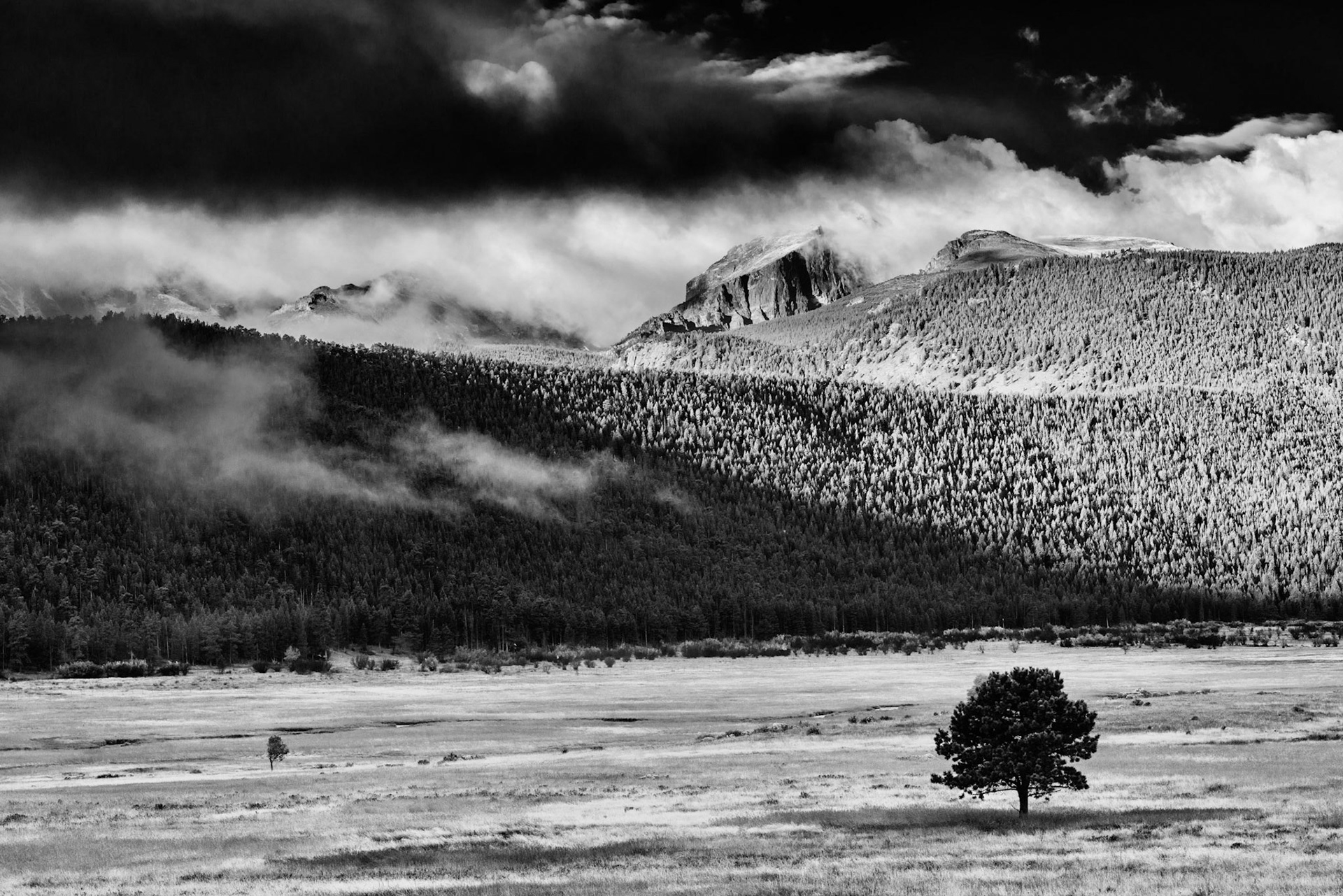 View in RMNP
